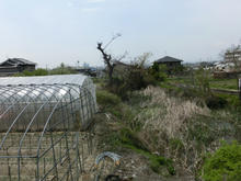 yaorekishiminzokusiryoukan03.jpg