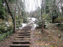 Iyajinjya21.jpg