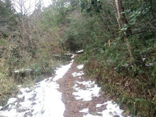 Yomotsuhirasaka03.jpg