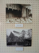 Izumotaisya14.jpg