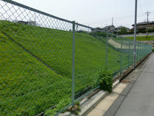 Teragaike07.jpg