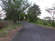 Hatsukasan08.jpg