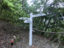 Hatsukasan18.jpg