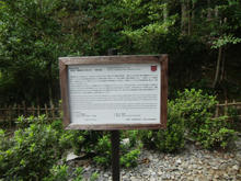 hijinjya06.jpg