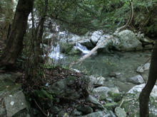 Kotonotaki46.jpg