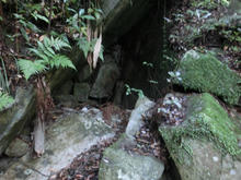 Kotonotaki50.jpg