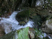 Kotonotaki54.jpg
