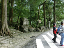 Kumanonachi_taisya007.jpg