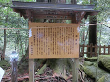 Kumanonachi_taisya010.jpg