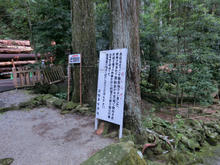 Kumanonachi_taisya011.jpg