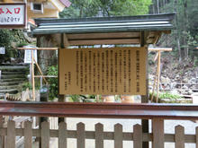 Kumanonachi_taisya019.jpg