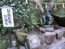 Kumanonachi_taisya021.jpg