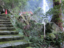 Kumanonachi_taisya024.jpg