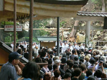 Kumanonachi_taisya072.jpg
