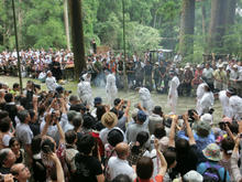 Kumanonachi_taisya096.jpg