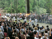 Kumanonachi_taisya097.jpg