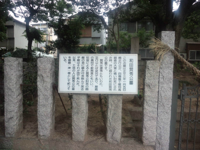 WadaKensyuHaka03.jpg