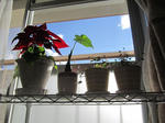 201201034.jpg