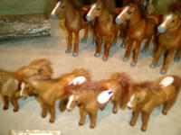 aCIMG0207.JPG