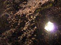 aP1020975.JPG