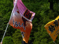 bP1030059.JPG