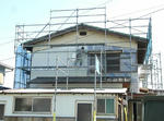 7452e9d7.JPG