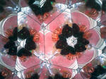 SA3D0119.jpg