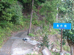 080614_03.jpg