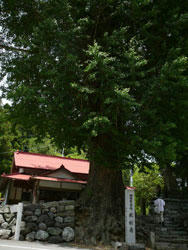 071013_04.jpg