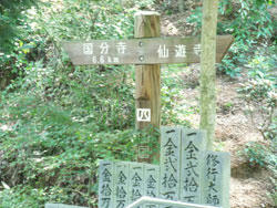 090912_01.jpg