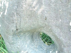 091128_05.jpg