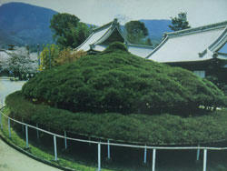 100410_03.jpg