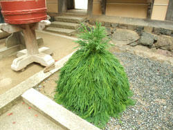 110212_03.jpg