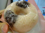 DSC00379.jpg
