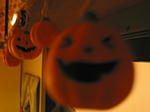 pumpkins01.jpg