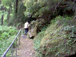 ひたすら山道ｗ