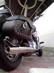 KC350188.JPG