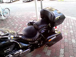KC350254.JPG