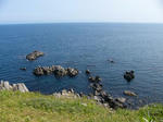 P1010900.jpg