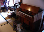 P1020131_m.JPG