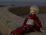 sea_saber003
