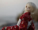 sea_saber005
