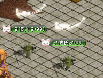 18,2