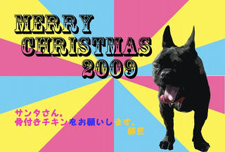 xmas09.jpg
