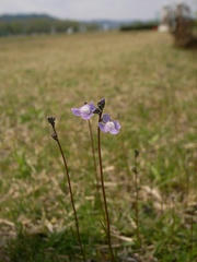 R0012936.jpg