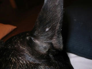 R0013641.jpg