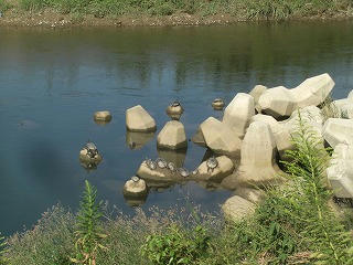 CIMG0288.jpg