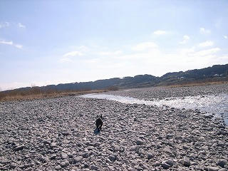 R0014267.jpg