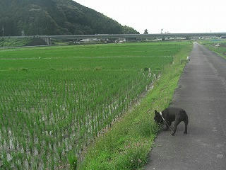 CIMG0409.jpg