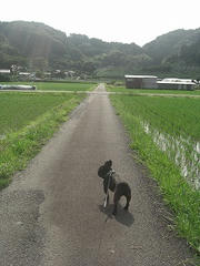 CIMG0410.jpg